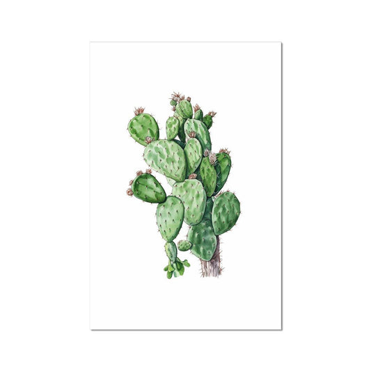 'Cactus' Giclée Print - Casa Print