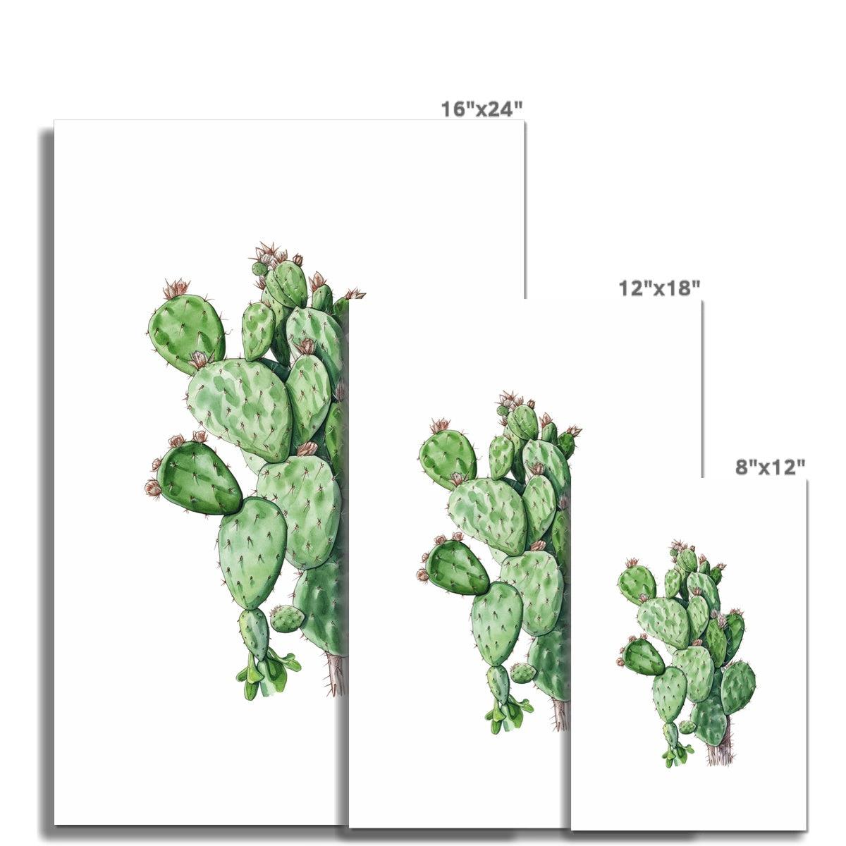 'Cactus' Giclée Print - Casa Print