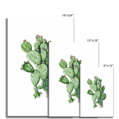 'Cactus' Giclée Print - Casa Print